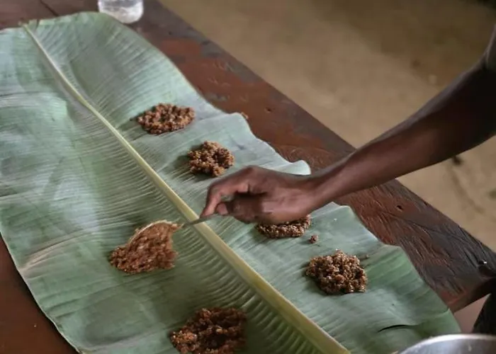 Gombela Ecolodge And Farming