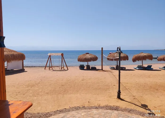 Mermaid Camp