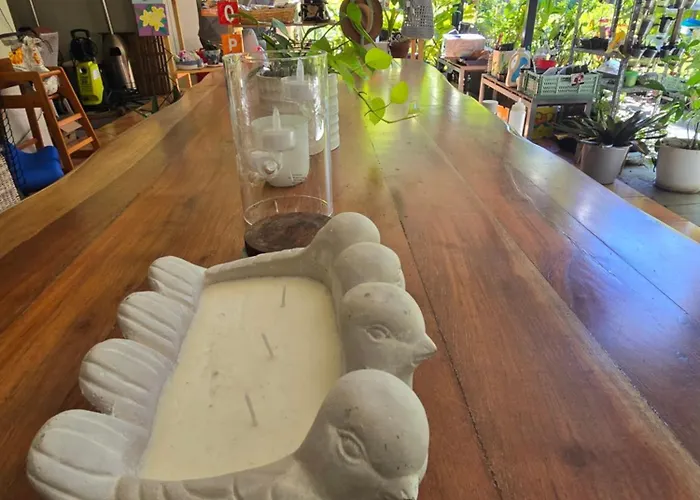 Bramston Beach Resort And Restaurant