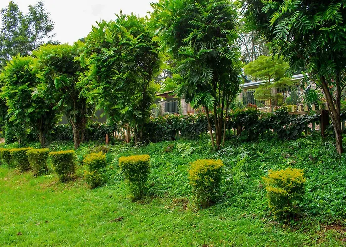 Mayas Suites