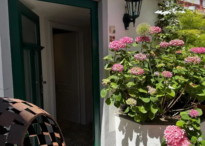Modernes Tiny House mit Sonnenterrasse