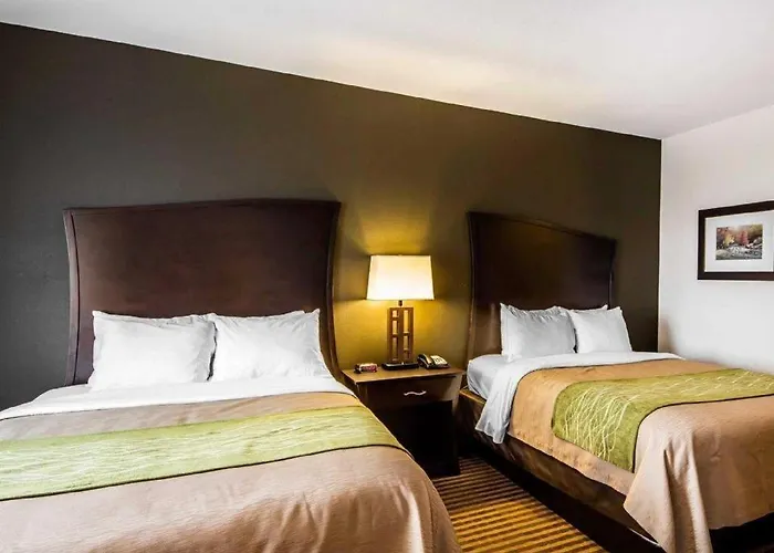 Comfort Inn & Suites Alva