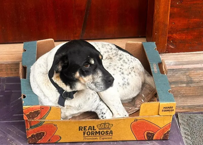 Pousada Recanto Barão de Biguaçu