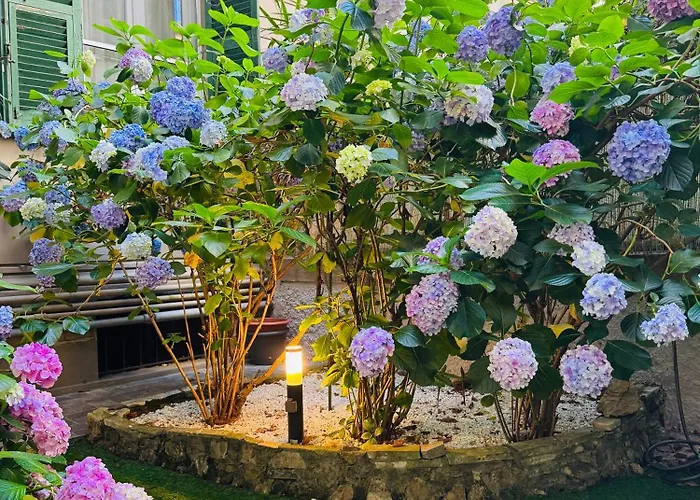Lucy'S Flowers