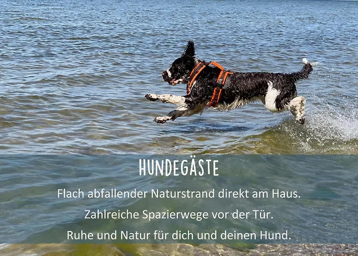 Höfthus 9 Holla die Boddenfee Meerblick Terrasse mit Hund die Natur genießen