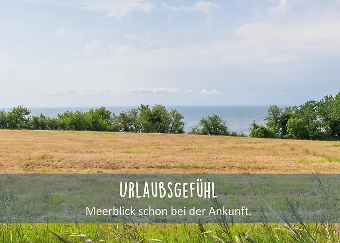 Höfthus 9 Holla die Boddenfee Meerblick Terrasse mit Hund die Natur genießen