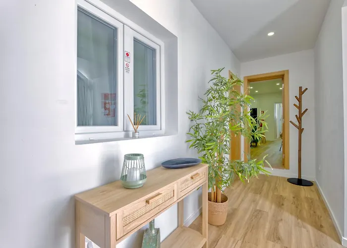 City Garden House By Hosty