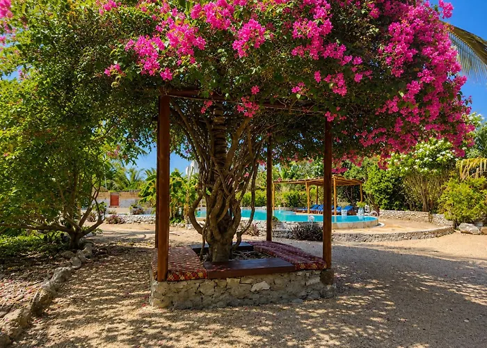Amani Villa Zanzibar, Ocean Breeze & Private Pool