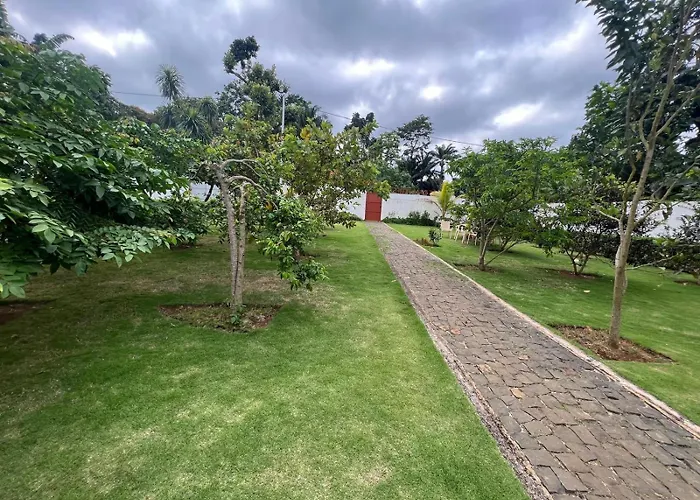 Resort Ideal Forest