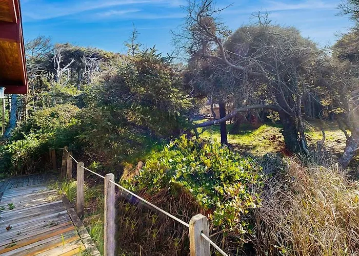 Dog-Friendly Oceanfront Cabin In The Trees With Gorgeous Views