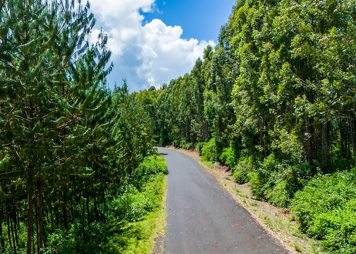 Njukiini Forest Lodge