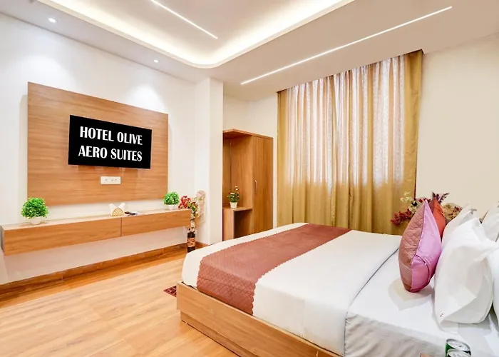 Sky Nest Plaza Inns Near Delhi International Airport