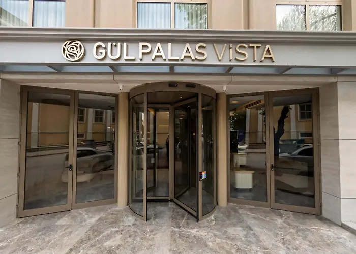 Guel Palas Vista