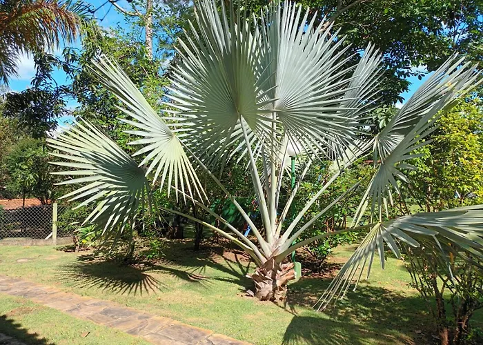 Ecos Jatobá - a 12km do Santuário de Aparecida