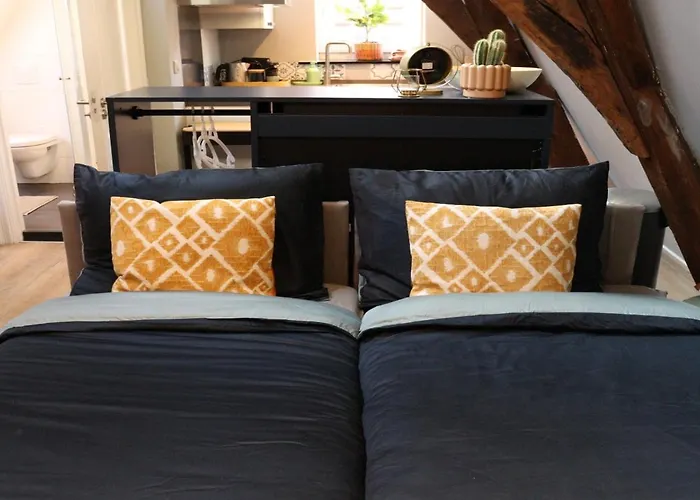 Coolest Loft -Studio In Haarlem City -Close To The Beach & Amsterdam 3Rd Floor
