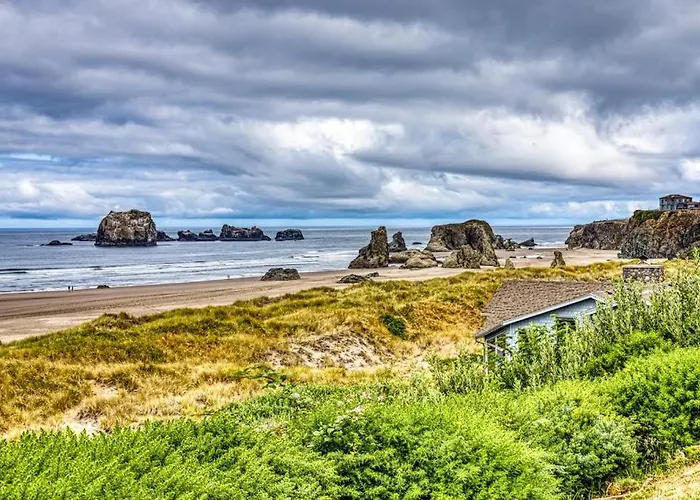 Inviting Dog-Friendly Studio With Unobstructed Ocean Views