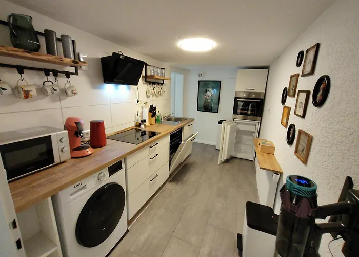 bird's nest Ferienwohnung in der Altstadt voll ausgestattete Küche SMART-TV
