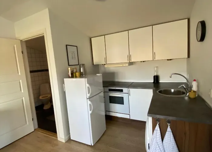 Vshus Apartment-2 Bedrooms Near City Center