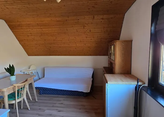 Family Friendly Flat Near Nature And Rhine