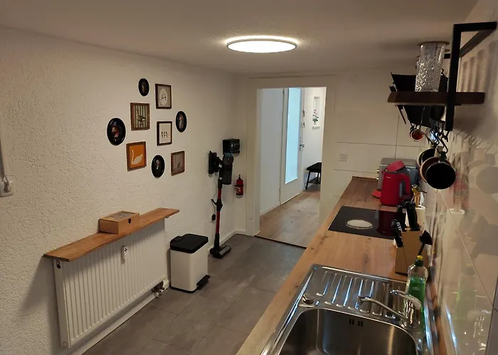 bird's nest Ferienwohnung in der Altstadt voll ausgestattete Küche SMART-TV