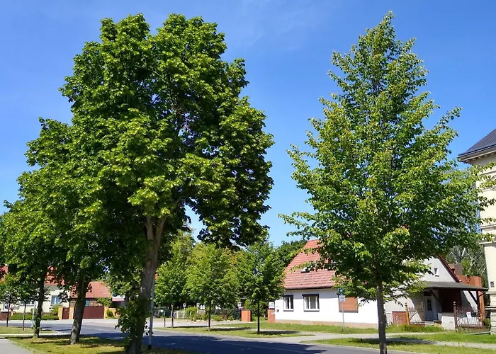 FW Wölfer