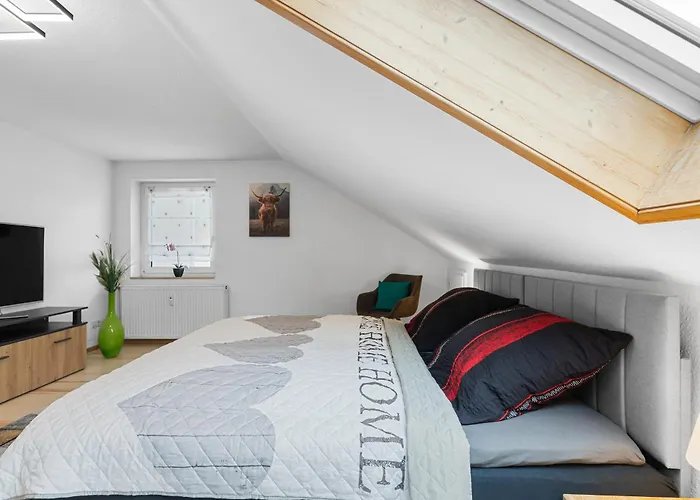 Modernes Apartment zentral in Ochsenhausen mit Parkplatz und WLAN ideal für Business und Urlaub
