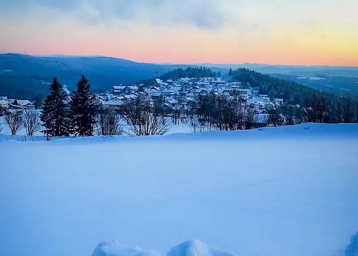 Stilvolle Wohnung im Gästehaus Wistlberg mit eigener Sauna und traumhaftem Weitblick mitten im Nationalpark