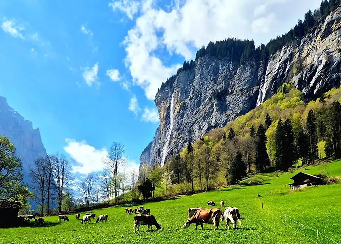 Chalet Bellevue Beautiful Waterfall View Private Garden & Free Parking