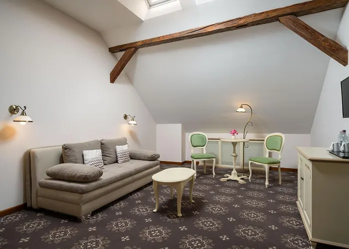 Hotel Leul De Aur