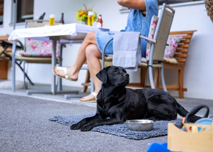 Carolines Appartement Au - Bergblick, Terrasse, Parkplatz, zentraler Punkt zum Ski- und Wandergebiet, Hund willkommen - ideal für Familien und naturverbundene Paare