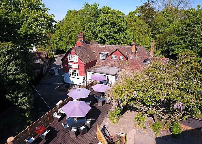 The Red Lion & Cellar Room, Betchworth