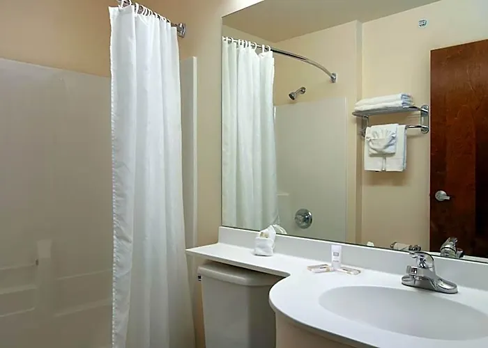 Microtel Inn & Suites By Wyndham Bellevue