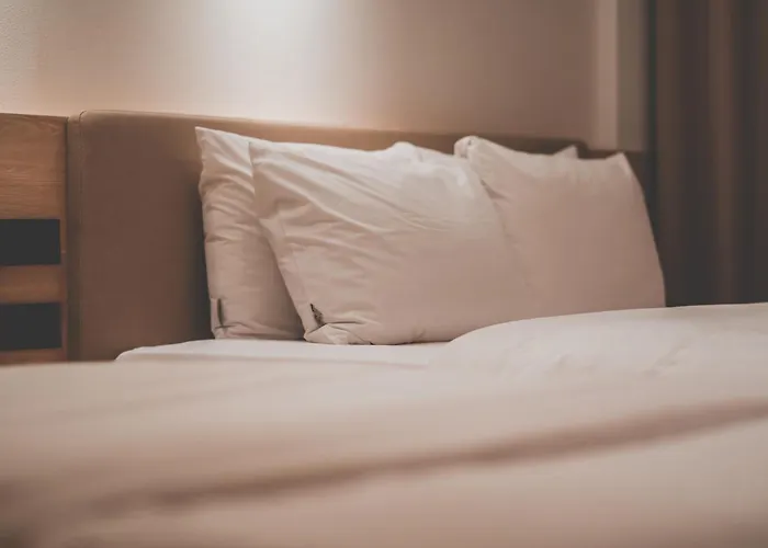 호텔 인썸니아 Hotel Insomnia 失眠酒店