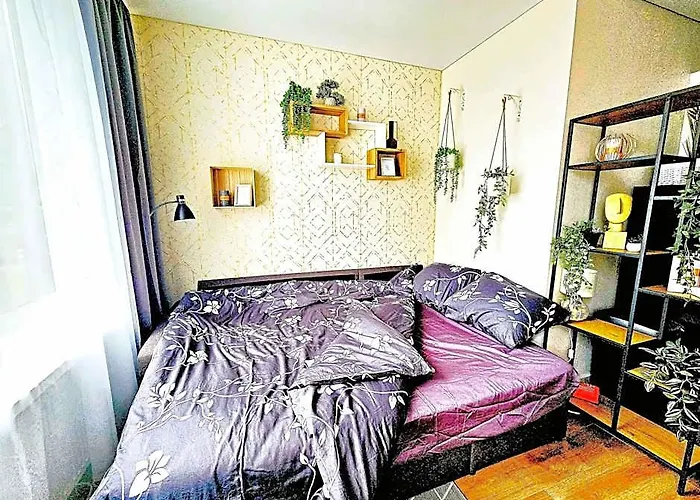 Cofy Rentals, A/C, Free Parking, Online Check-In!