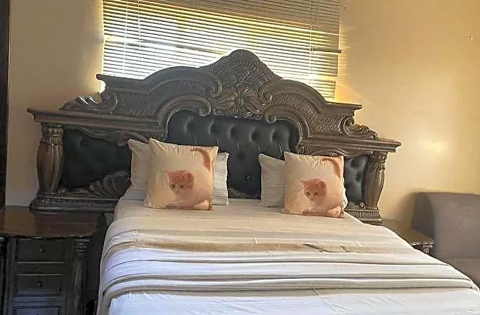 Savannah Guesthouse Mafikeng