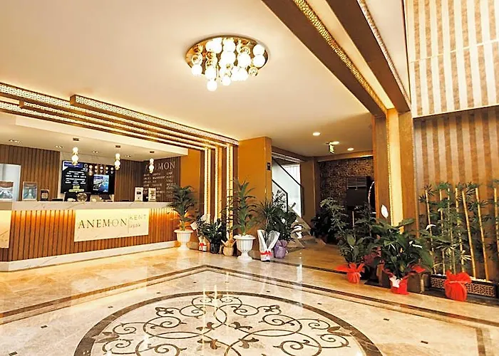 Anemon Usak Hotel