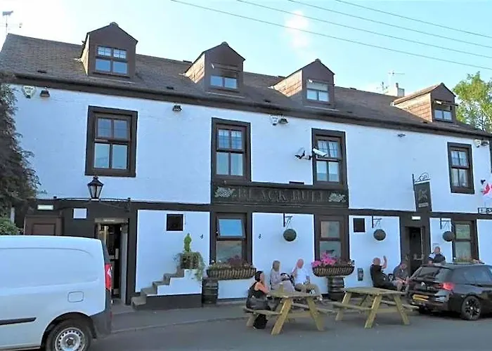 Black Bull