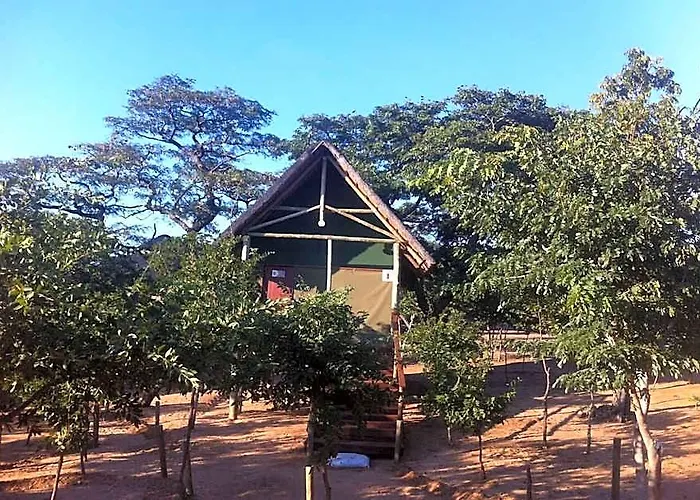 Lion Roars Lodge