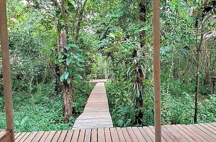 Rainbow Lodge Tatai