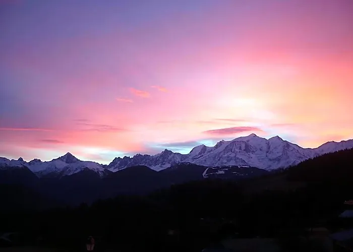 Le Chamois D'Or