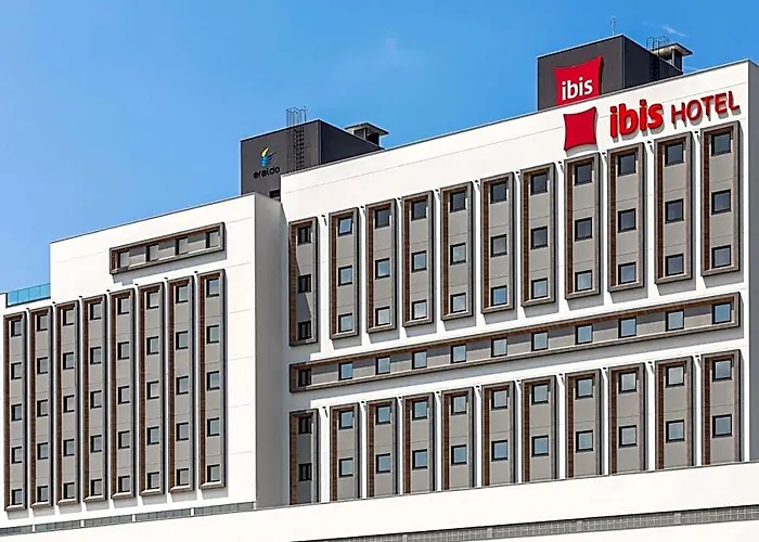 Ibis Tubarao