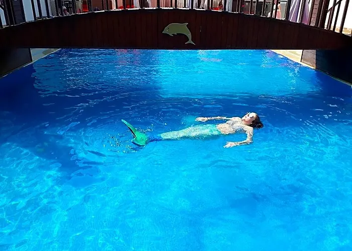 Dolphin Apart