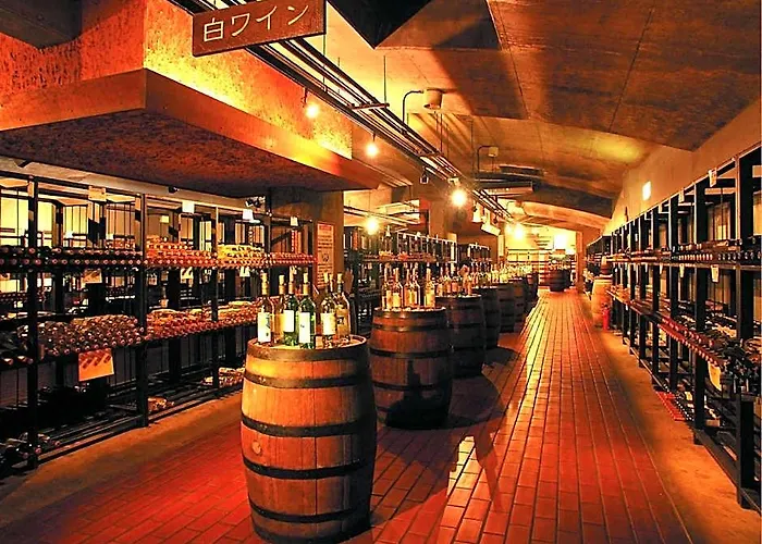 Chateraise Hotel Isawa