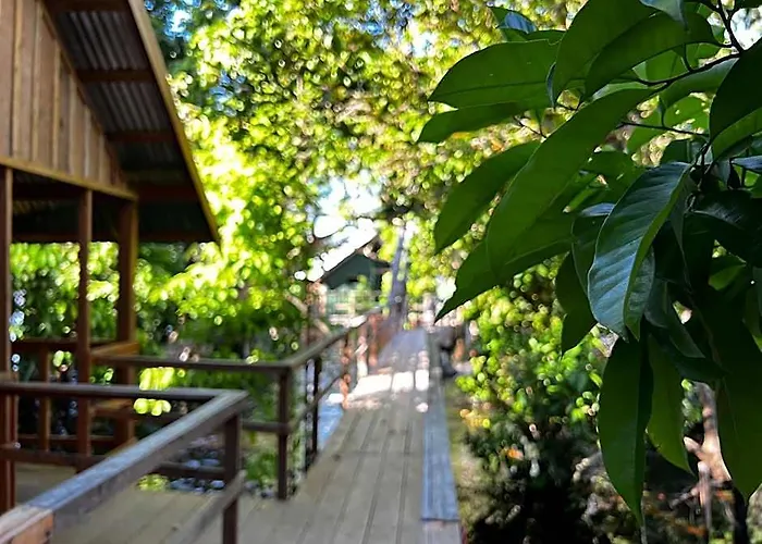Amazonia Lodge Exxperience