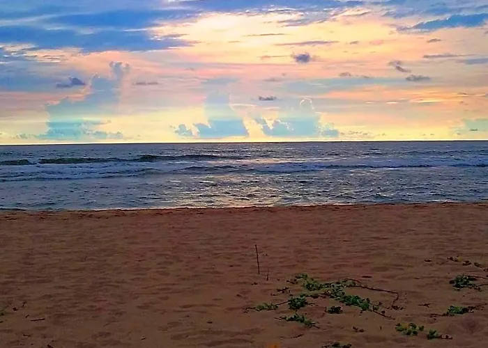 Ocean View Hotel