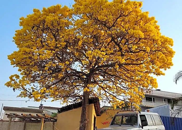 Canastra Eco Hospedagem