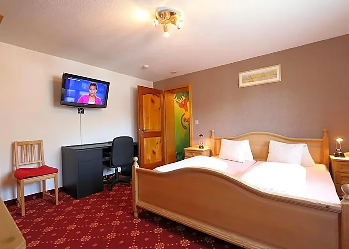 Hotel Alpina