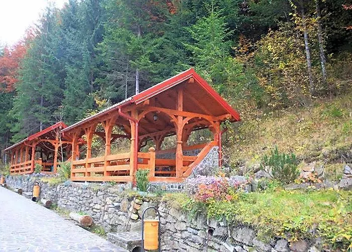 Hotel Paltinis