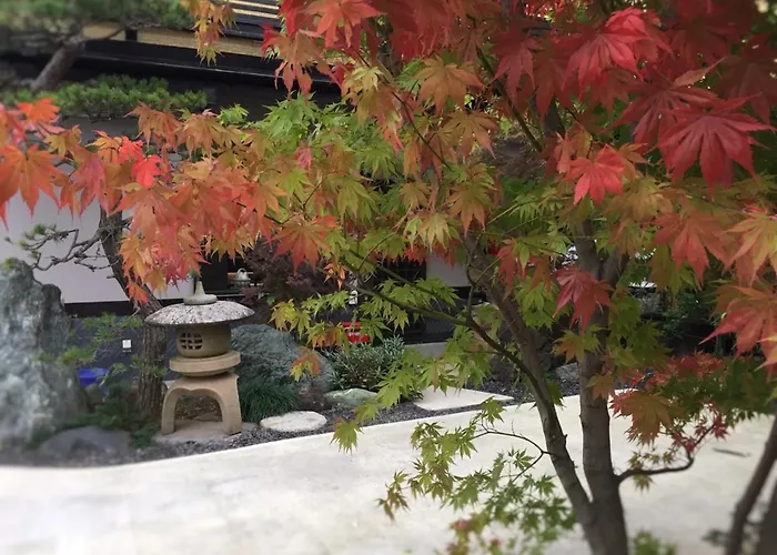 Kusatsu Onsen 326 Yamanoyu Hotel - Vacation Stay 10472V