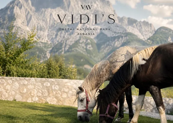 Vidis Chalet Boutique Hotel